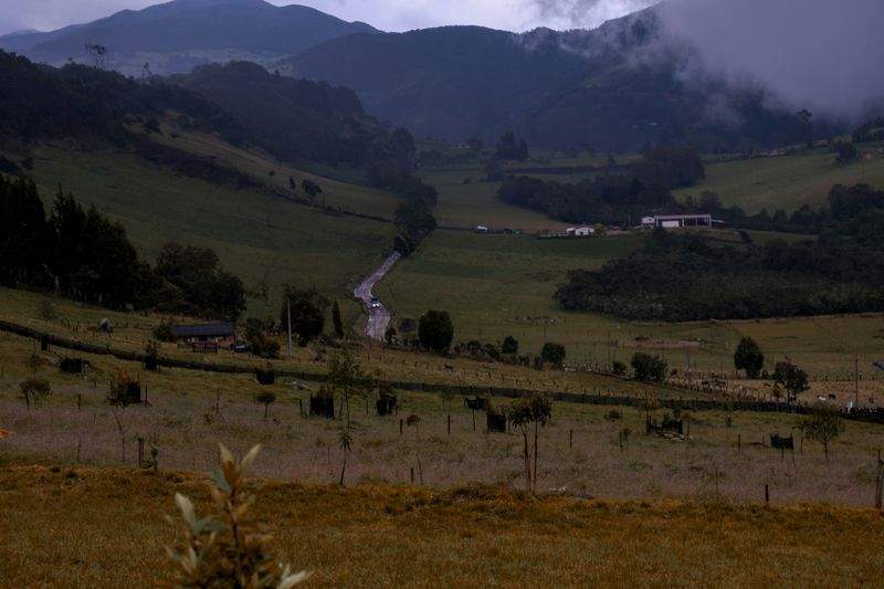 Hortiverde Ibérica 11