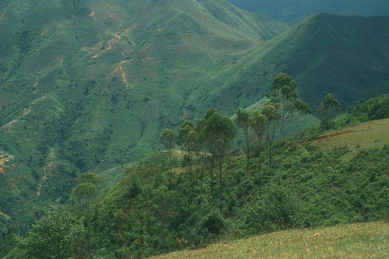 Hortiverde Ibérica 5