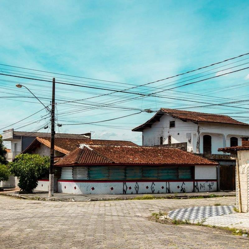 Poda, abonado y mejora del suelo